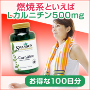 ǳ�ƷϤȤ�����L����˥���500mg ������100��ʬ