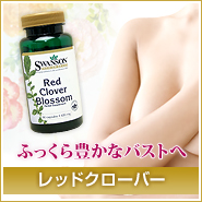 �դä���˭���ʥХ��Ȥء֥�åɥ������С���